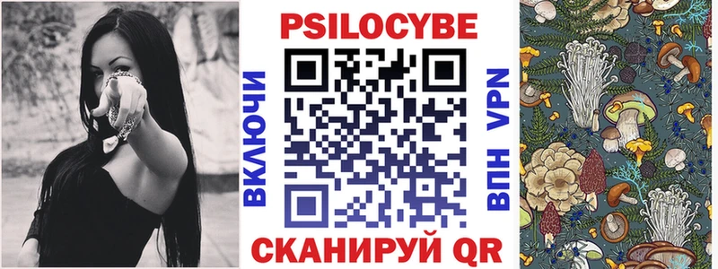 Псилоцибиновые грибы Psilocybe  Белогорск 