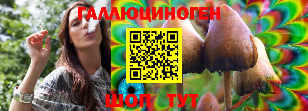 Псилоцибиновые грибы ЛСД  Белогорск  Галлюциногенные грибы MAGIC MUSHROOMS 