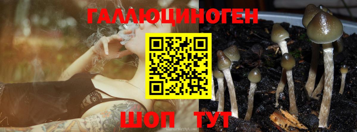 Галлюциногенные грибы GOLDEN TEACHER Белогорск